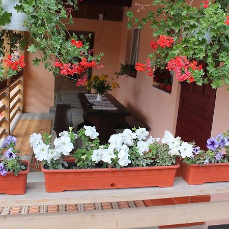 Casa Andreia Gura Humorului Exterior foto