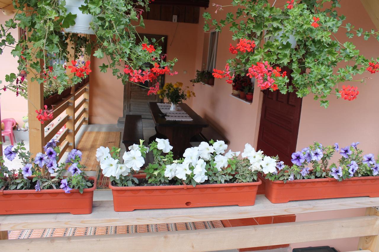 Casa Andreia Gura Humorului Exterior foto